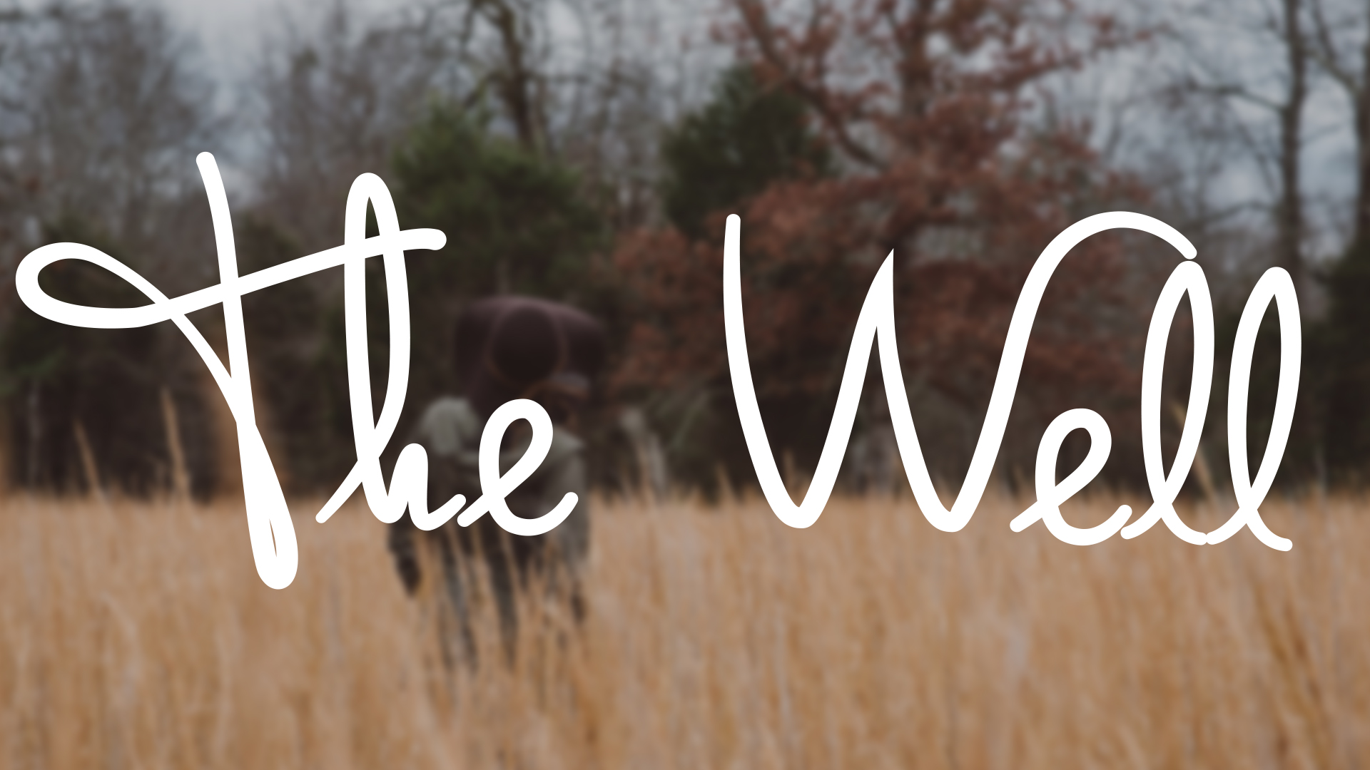 The Well