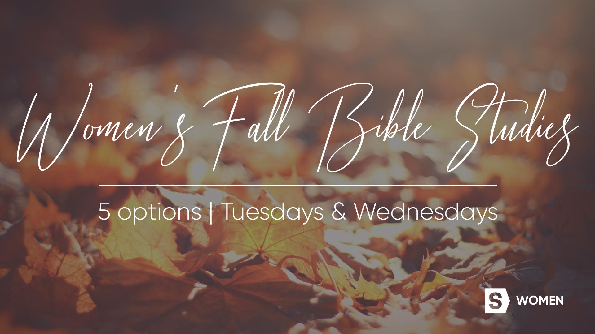 Women's Ministry Fall 2018 Bible Studies